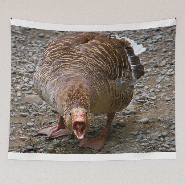 Item preview, Angry Goose designed and sold by ADM  Photography.
