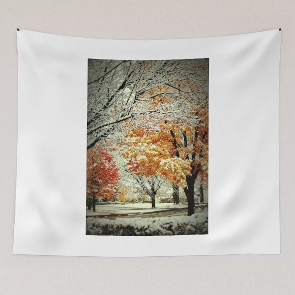 Item preview, Snow Covered Fall Trees in MIchigan designed and sold by anitahiltz.