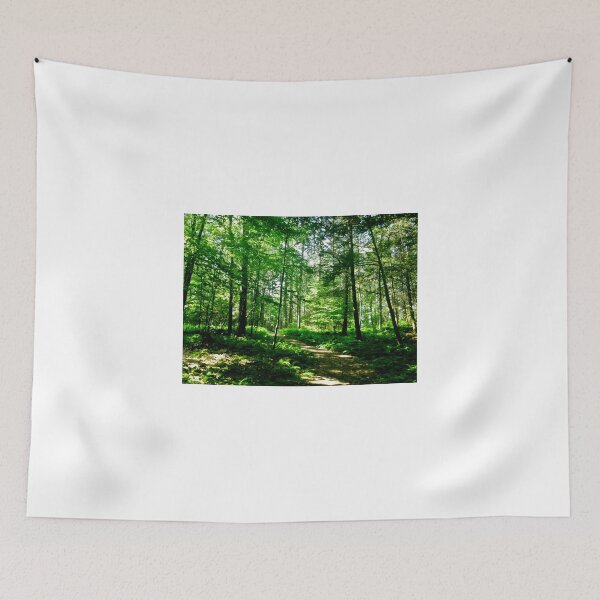 Artikelvorschau, Ein Pfad im Wald entworfen und verkauft von VisionQuestArts.