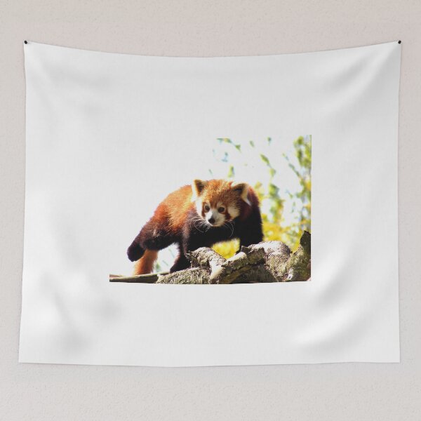 Item preview, Red Panda Walking On Branch designed and sold by EvieTuffs.