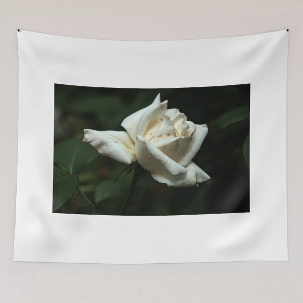 Item preview, Small white rose Leith Park Victoria 20151030 0529 designed and sold by Fred Mitchell.