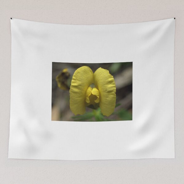 Item preview, A Showy Pea designed and sold by Ben Loveday.