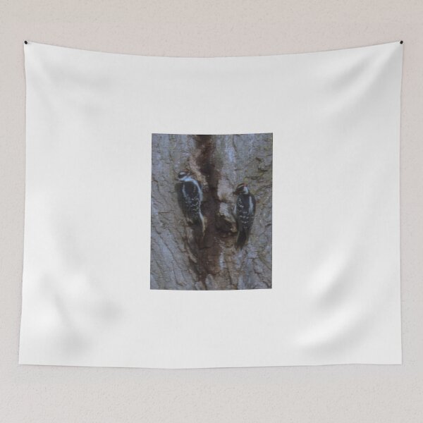 Item preview, These Two Woodpeckers Pentax (X-5) 16 Megapixels designed and sold by TKUsitalo.