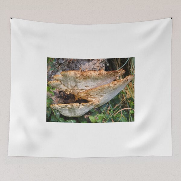 Item preview, Tree Fungi... Lyme Dorset UK designed and sold by lynn carter.