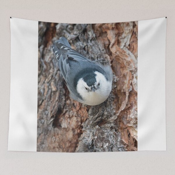 Item preview, White-breasted Nuthatch designed and sold by WorldDesign.