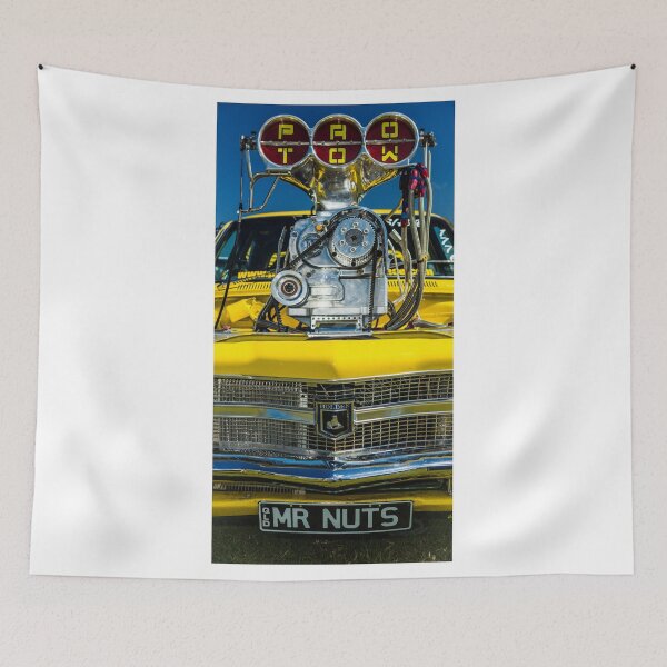 Item preview, blown nuts designed and sold by sharpbokeh.