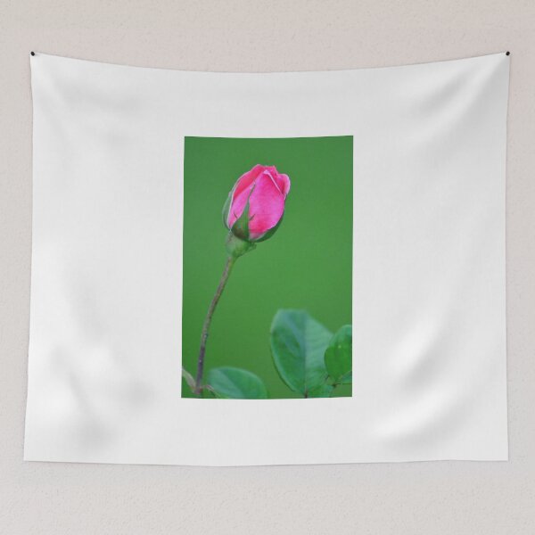 Aperçu de l'œuvre Pink Rose Bud créée et vendue par TheaShutterbug.