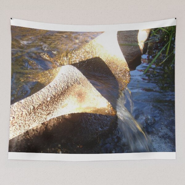 Item preview, Flow Form Fountain, Rudolf Steiner College designed and sold by brusling.