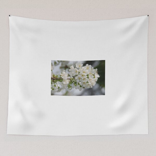 Item preview, Cherry Blossoms designed and sold by Deborah Singer.