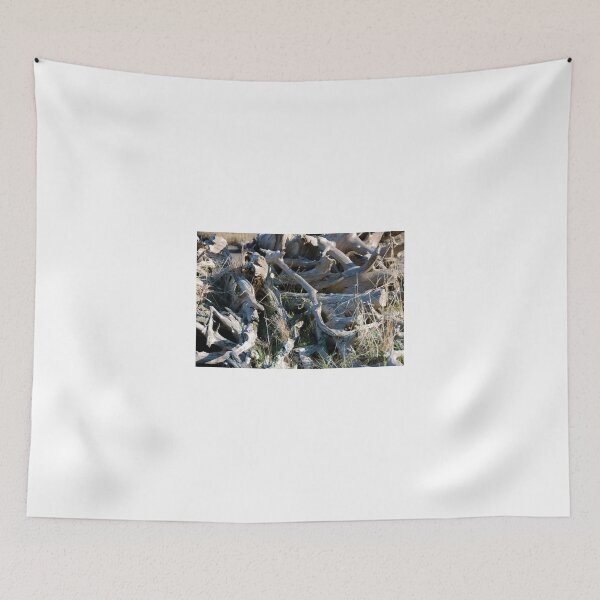 Item preview, Drifted Roots designed and sold by Deborah Singer.