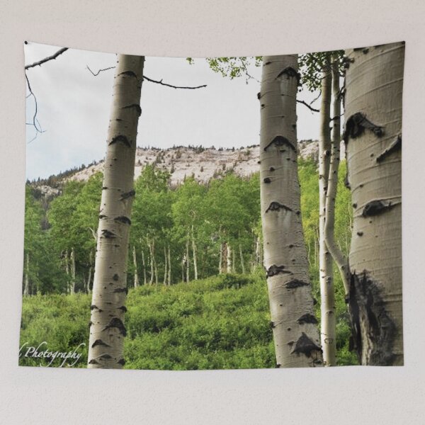 Item preview, "Quakes" Manti-La Sal National Forest designed and sold by CL Allred Photography.
