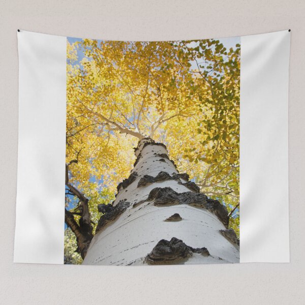 Item preview, Aspen Tree designed and sold by WorldDesign.