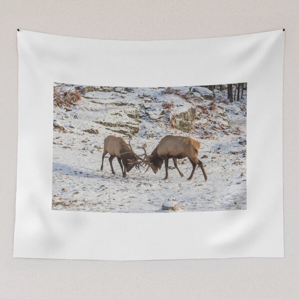 Item preview, Elk in a fight designed and sold by Josef Pittner.