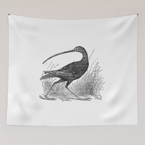 Item preview, Long Billed Curlew designed and sold by Vintage Designs +.
