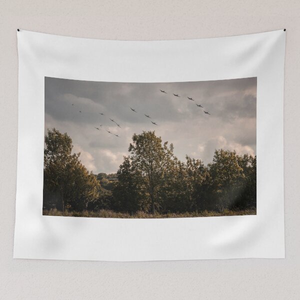 Item preview, RAF Balbo designed and sold by UKGh0sT.