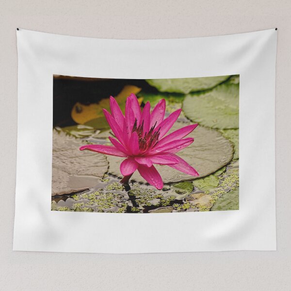 Item preview, Pinkish  designed and sold by Lanis Rossi.