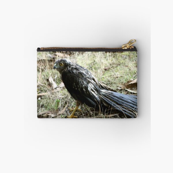 Item preview, Brown Goshawk designed and sold by Asoka.