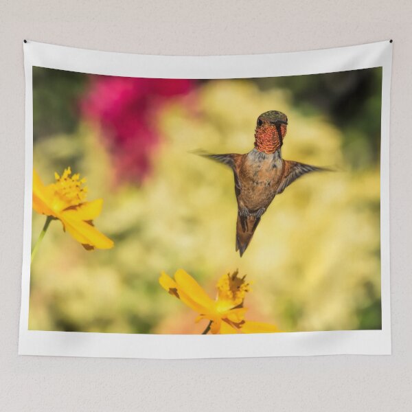 Item preview, Stretch designed and sold by MCHerdering Photography.