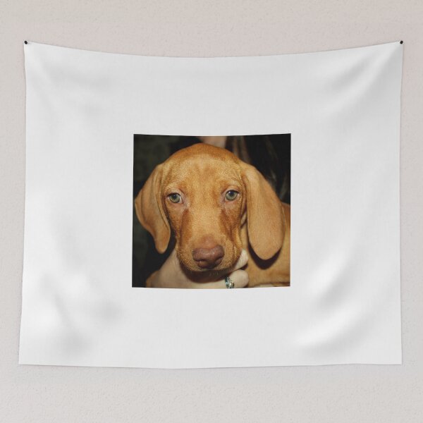 Item preview, Adorable Vizsla Puppy designed and sold by anitahiltz.