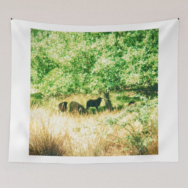Item preview, Peaceful Sheep designed and sold by brusling.