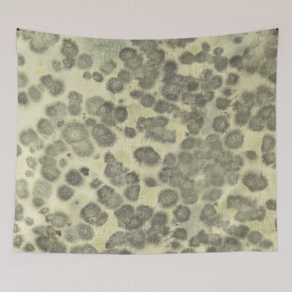 Item preview, Mouldy wall designed and sold by chantelle bezant.