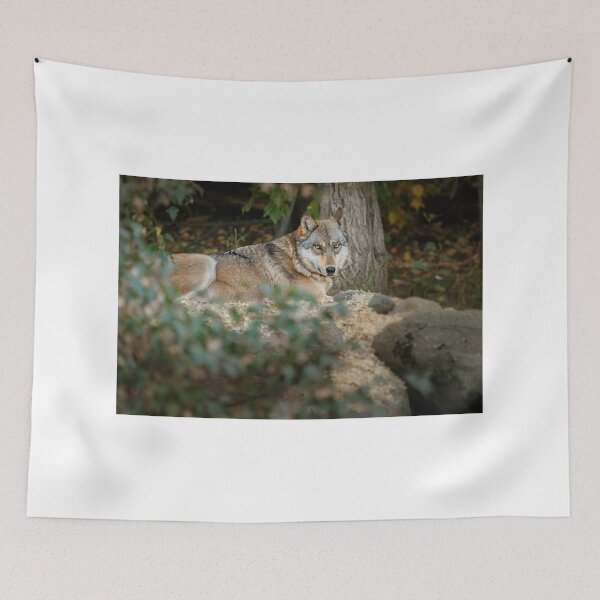 Item preview, Boltz designed and sold by Owed To Nature.