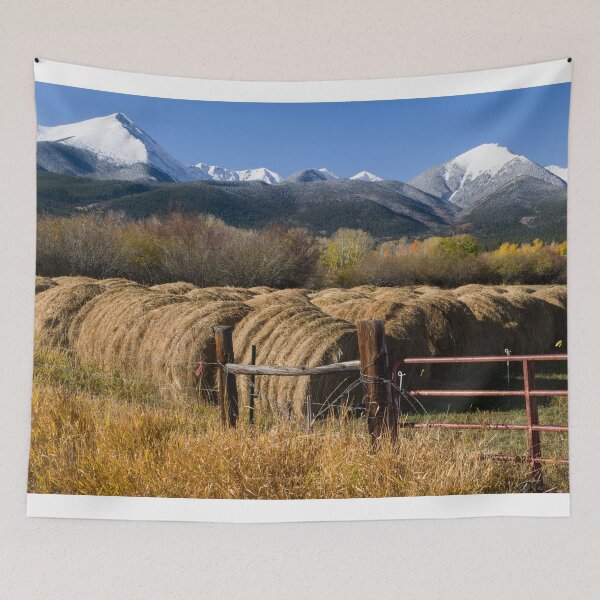Item preview, Bale Beauty designed and sold by Gary Benson.