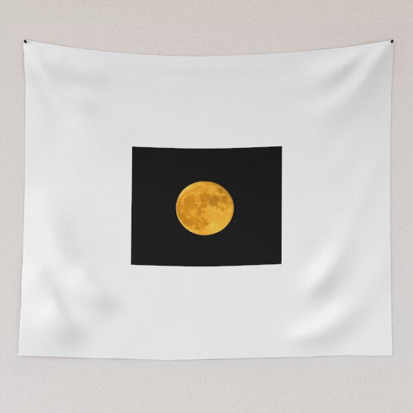 Aperçu de l'œuvre Beaver Lunar Illumination Moon 2015 créée et vendue par EvieTuffs.