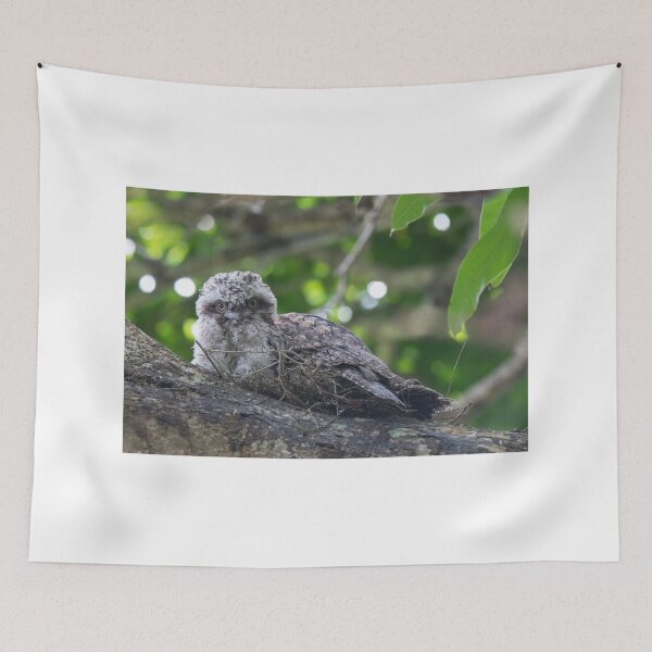 Item preview, Guess Who Went Out On A Branch designed and sold by byronbackyard.