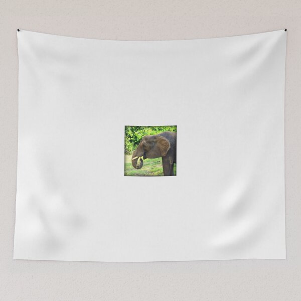Item preview, Close Up of Elephant Eating Grass designed and sold by anitahiltz.