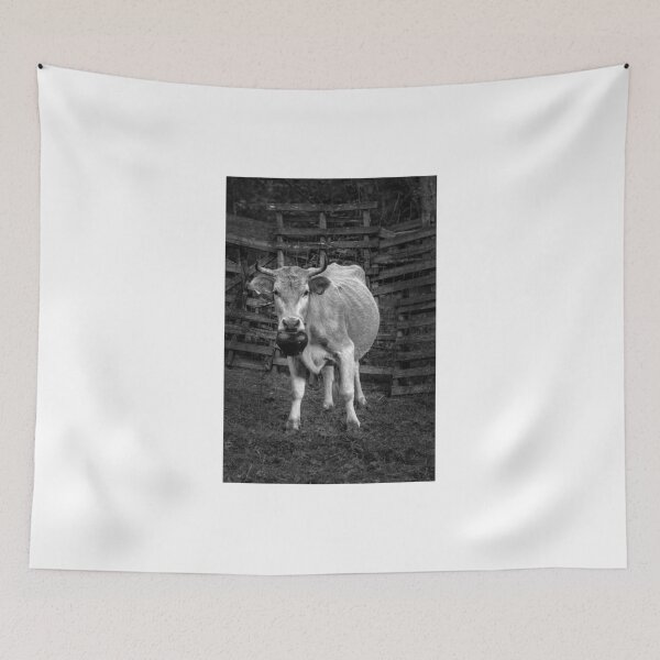 Item preview, Pretty cow with a huge bell, staring, in bW designed and sold by Antonis Lemonakis.