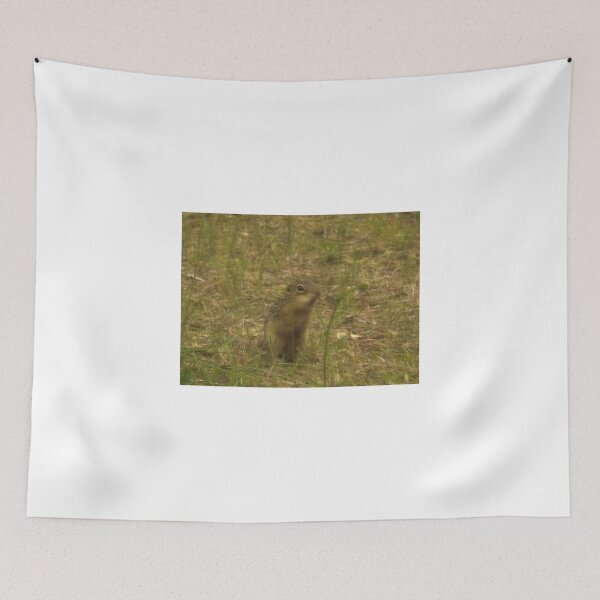 Item preview, Freaky Gopher  designed and sold by TKUsitalo.