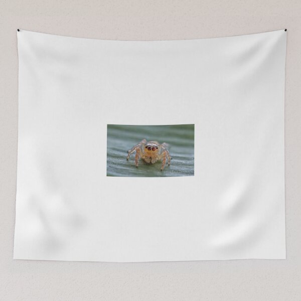 Item preview, The Jumping Spider designed and sold by Rick Playle.