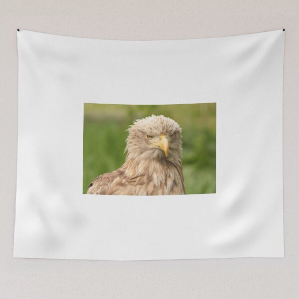 Item preview, European white tailed eagle designed and sold by goceris.