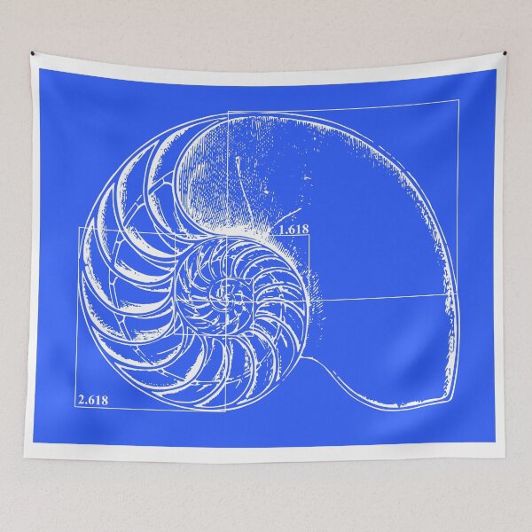 Item preview, Fibonacci on a nautilus shell (blue) designed and sold by funmaths.