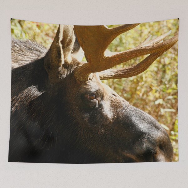 Item preview, Maine Bull Moose  designed and sold by Enola Gay Wagner.