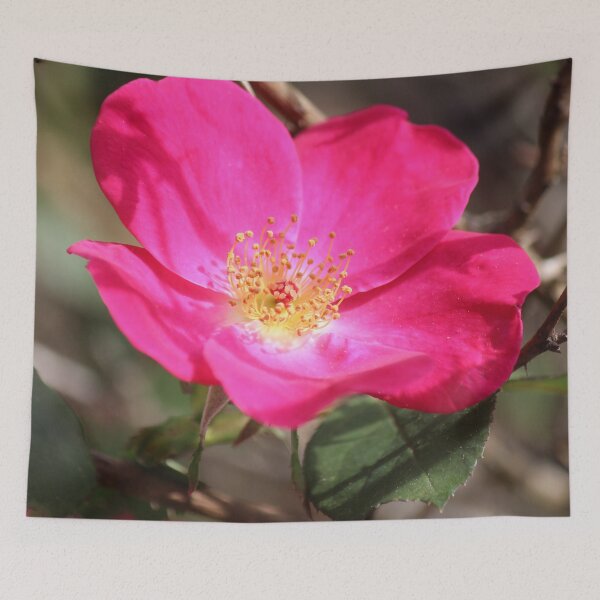 Item preview, Five Petal Rose designed and sold by Bob Hardy.