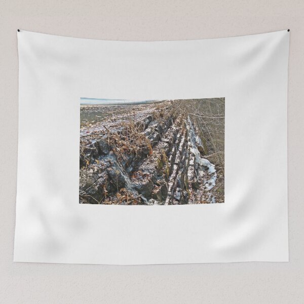 Item preview, On Stones Grow  designed and sold by Paul Lubaczewski.