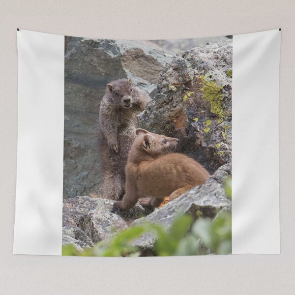 Item preview, Marmot & Weasel Encounter designed and sold by WorldDesign.