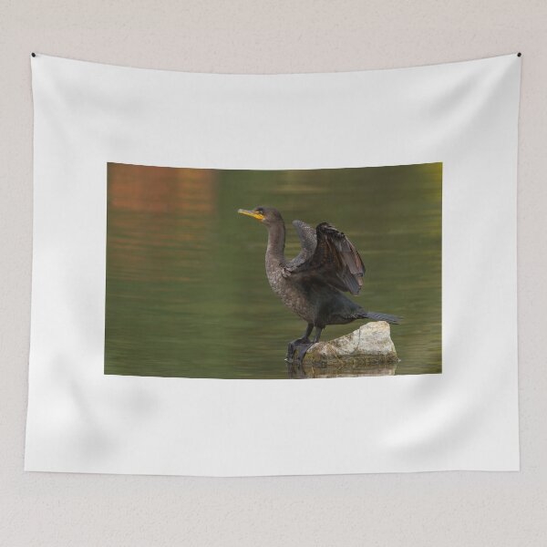 Item preview, Double-crested Cormorant designed and sold by James Cumming.