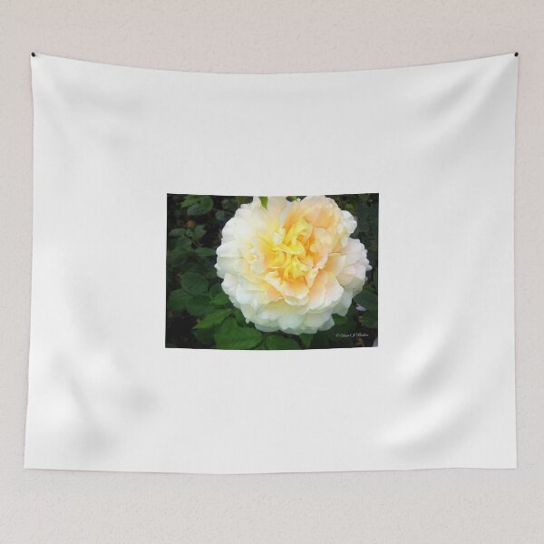Item preview, Memories of Summer designed and sold by Lancastrian.