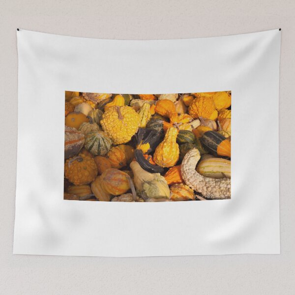 Item preview, Gourds Gallore designed and sold by KHartmann.