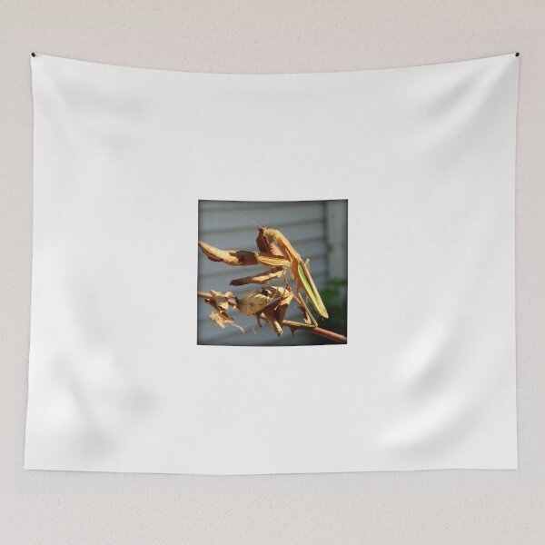 Item preview, Praying Mantis designed and sold by anitahiltz.