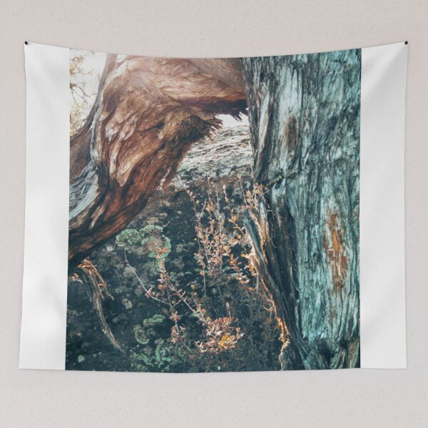 Item preview, Juniper Tree Study I designed and sold by brusling.