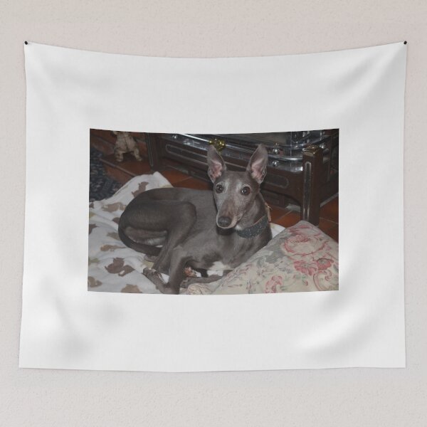 Item preview, Xanthe designed and sold by Carla Maloco.