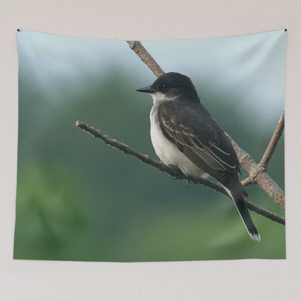 Item preview, Eastern Kingbird designed and sold by Enola Gay Wagner.
