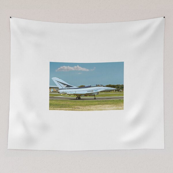 Item preview, British Aerospace EAP ZF534 taxying designed and sold by Colin Smedley.
