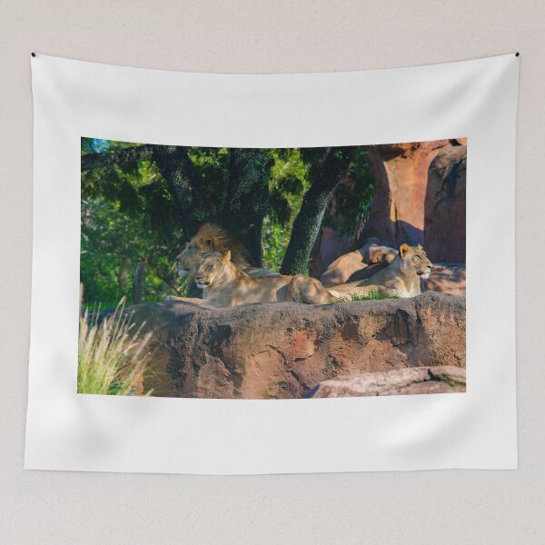 Item preview, Pride of Lions designed and sold by Graphics By Craig.
