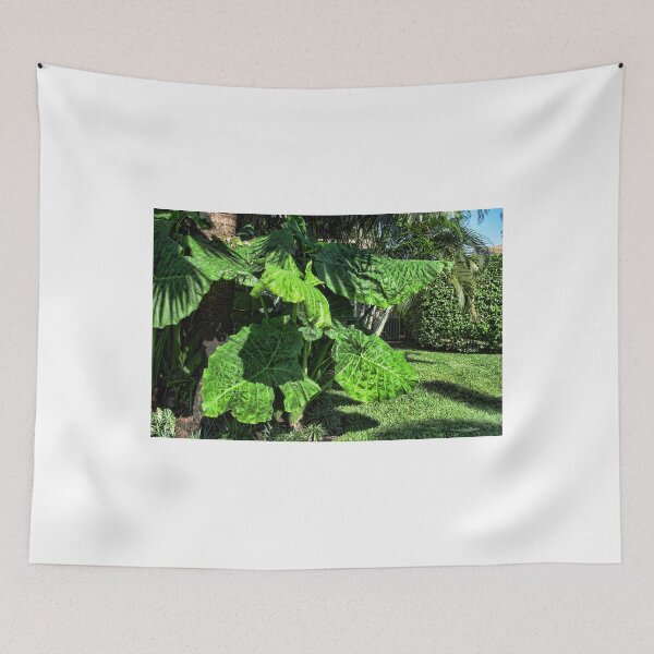 Item preview, The Grand Colocasia One designed and sold by GolemAura.