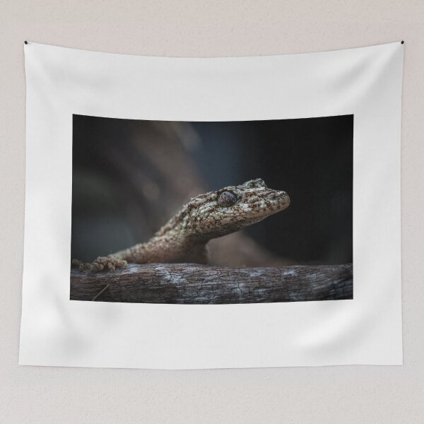 Item preview, Saltuarius moritzi, the Northern Leaf-Tailed Gecko! designed and sold by Normf.